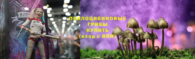 Псилоцибиновые грибы MAGIC MUSHROOMS  Салават 